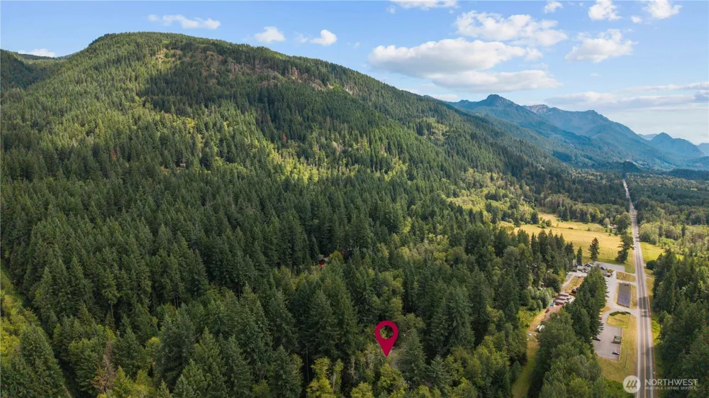 55010 315th Ave E Ashford, WA 98304