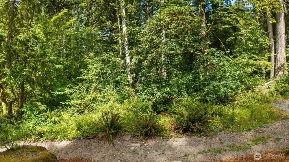 55010 315th Ave E Ashford, WA 98304