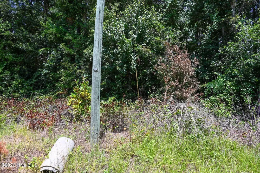0 Rooks Road Atkinson, NC 28421