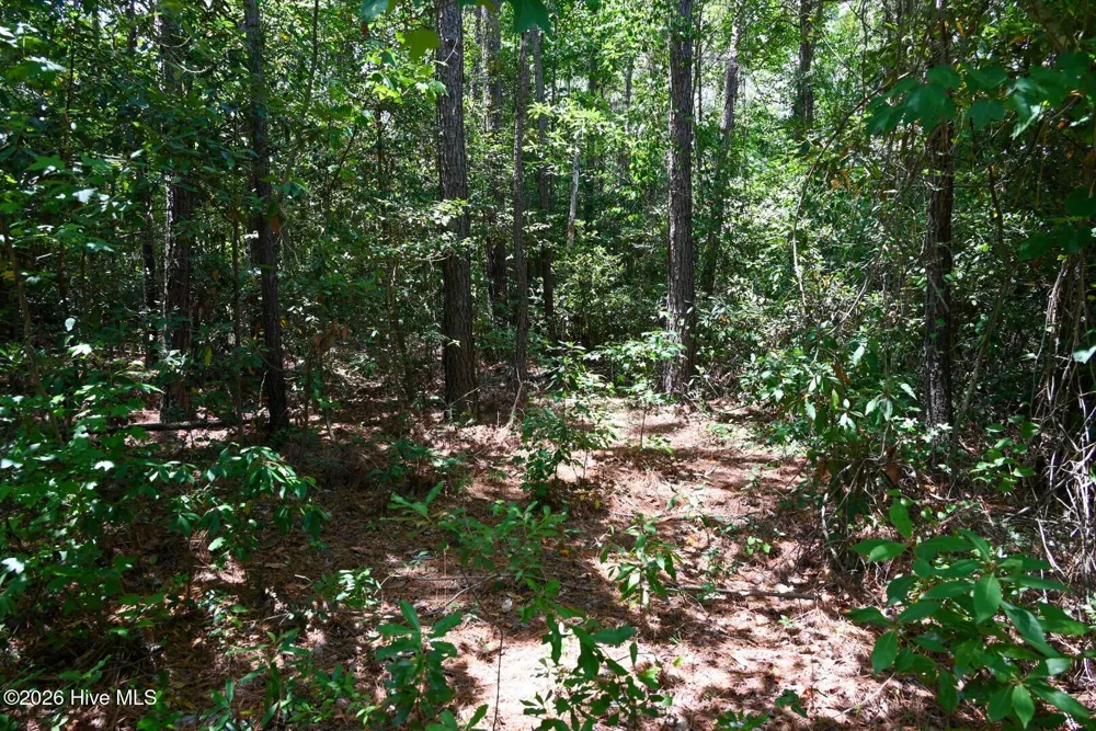 0 Rooks Road Atkinson, NC 28421