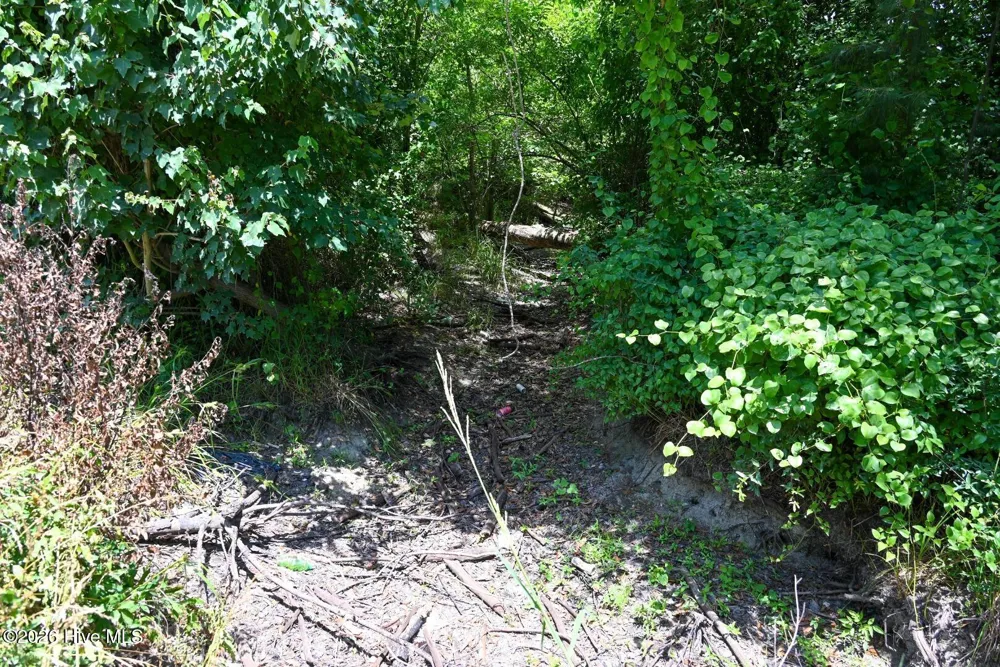 0 Rooks Road Atkinson, NC 28421