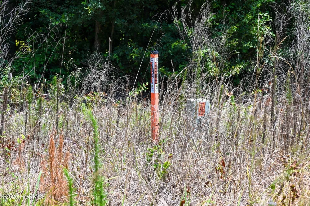 0 Rooks Road Atkinson, NC 28421