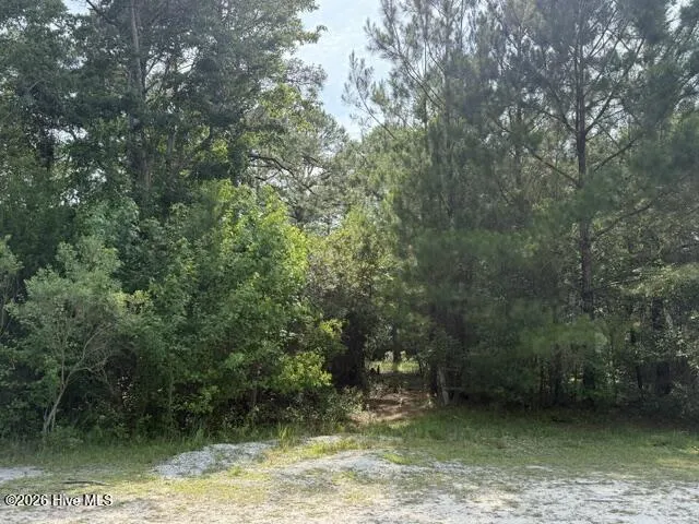 1602 Breezeway Drive SW Ocean Isle Beach, NC 28469