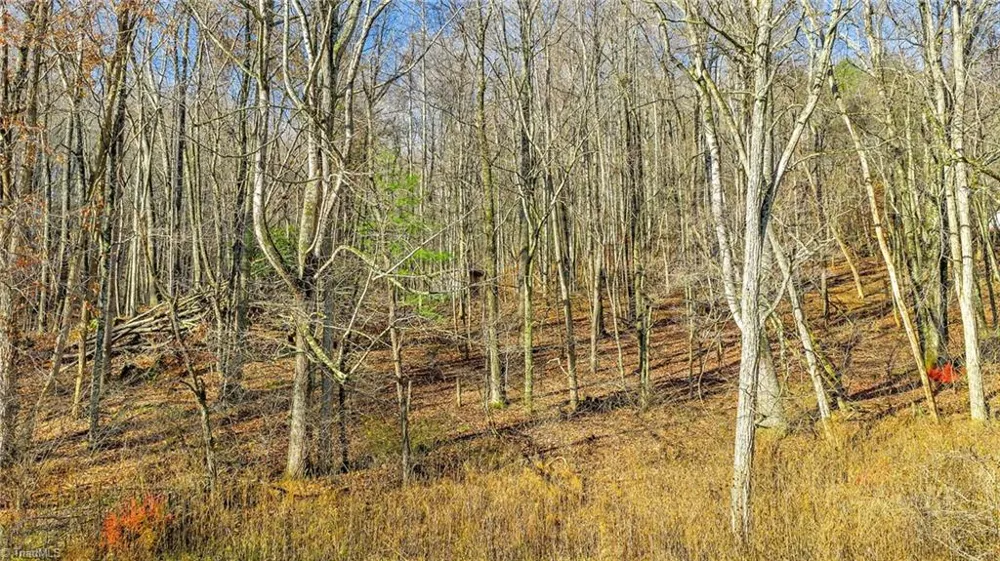 1451 Elliott Road West Jefferson, NC 28694