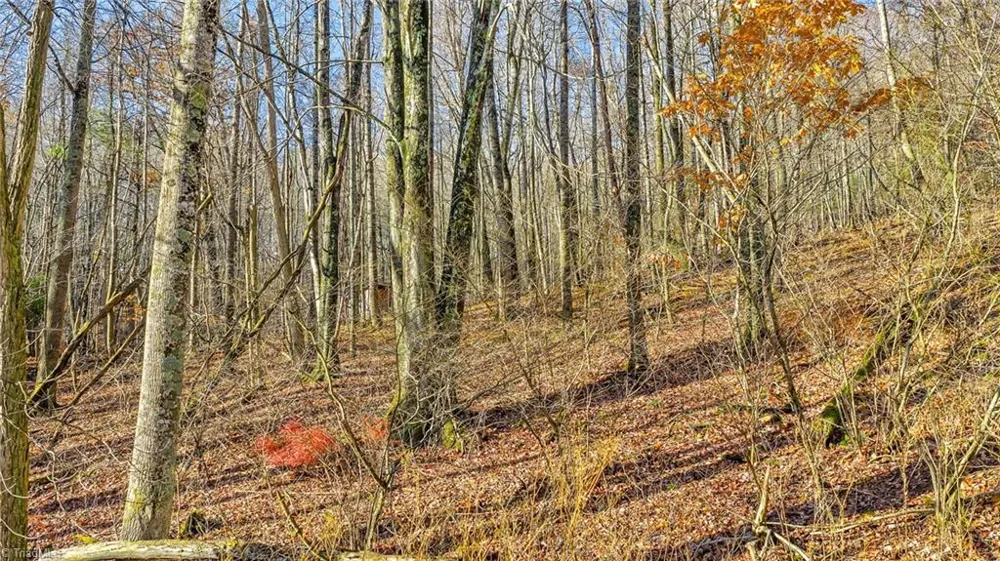 1451 Elliott Road West Jefferson, NC 28694