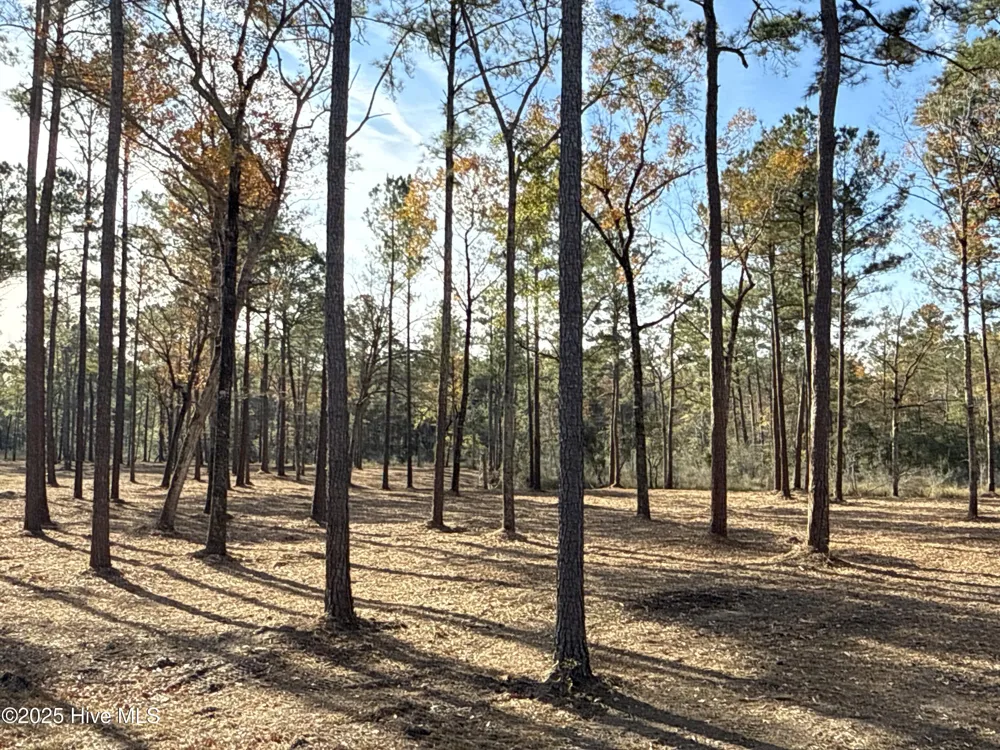 0 Norfleet Shores Road Belhaven, NC 27810