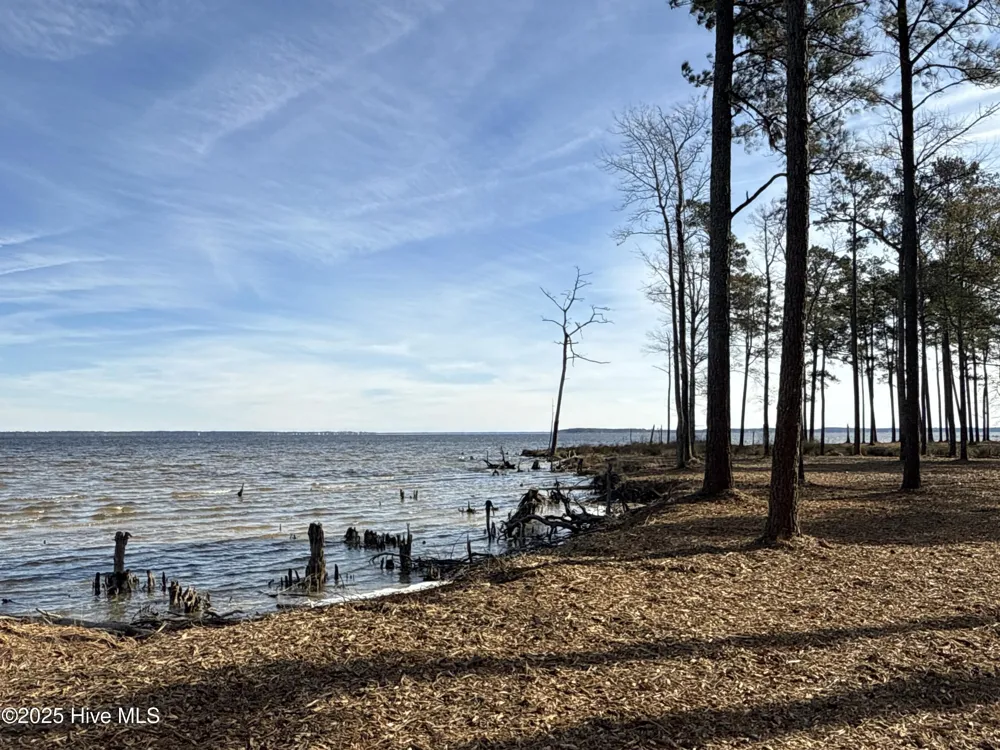 0 Norfleet Shores Road Belhaven, NC 27810