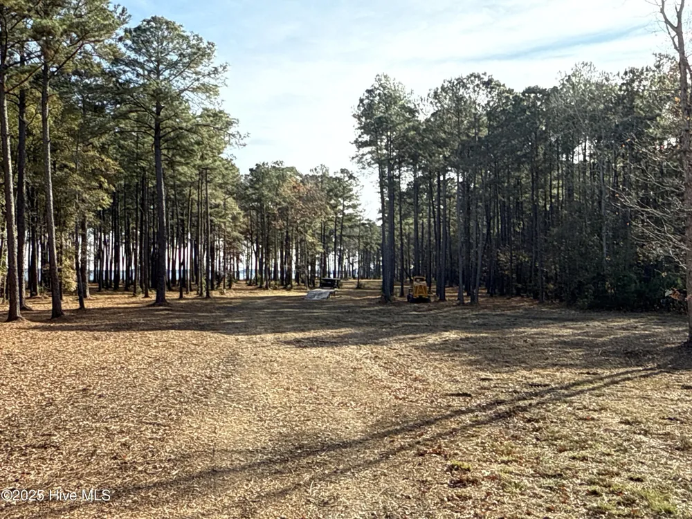 0 Norfleet Shores Road Belhaven, NC 27810