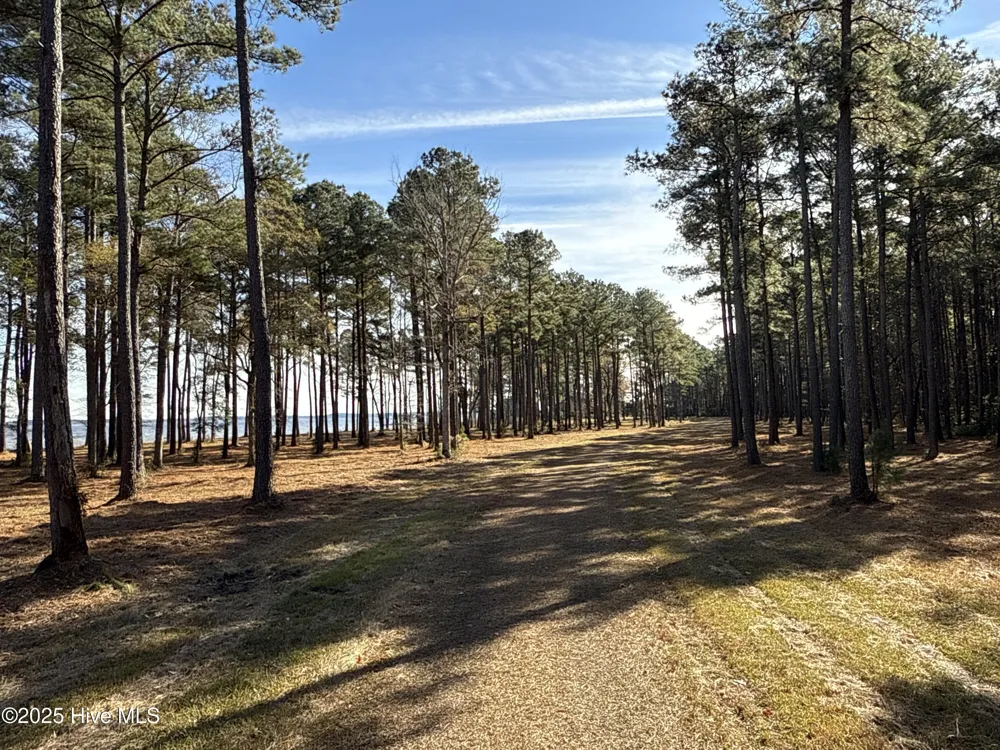 0 Norfleet Shores Road Belhaven, NC 27810