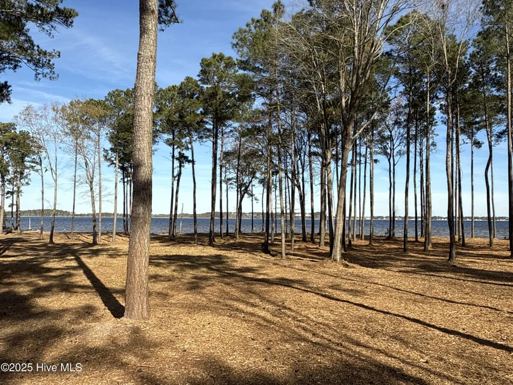 0 Norfleet Shores Road Belhaven, NC 27810