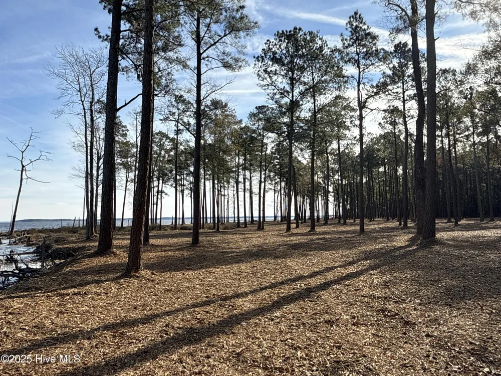 0 Norfleet Shores Road Belhaven, NC 27810