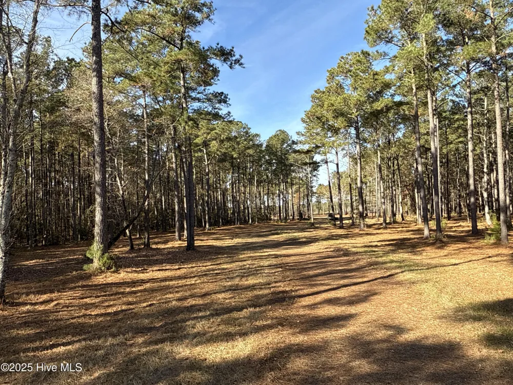 0 Norfleet Shores Road Belhaven, NC 27810