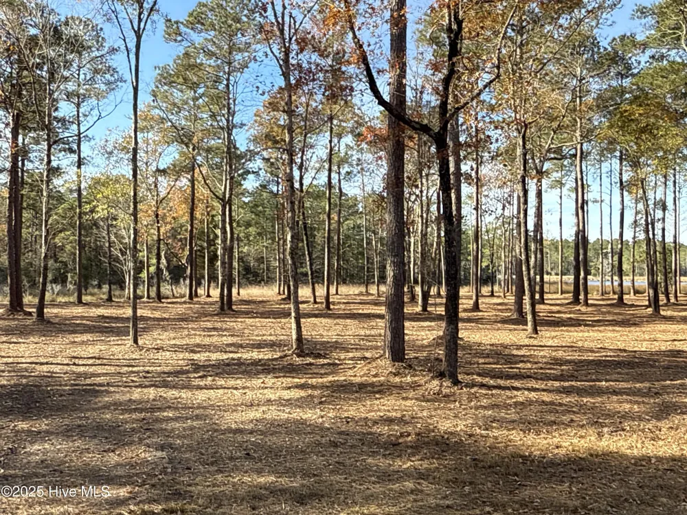 0 Norfleet Shores Road Belhaven, NC 27810