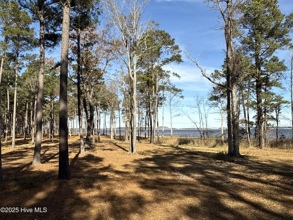 0 Norfleet Shores Road Belhaven, NC 27810