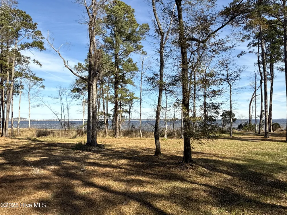 0 Norfleet Shores Road Belhaven, NC 27810