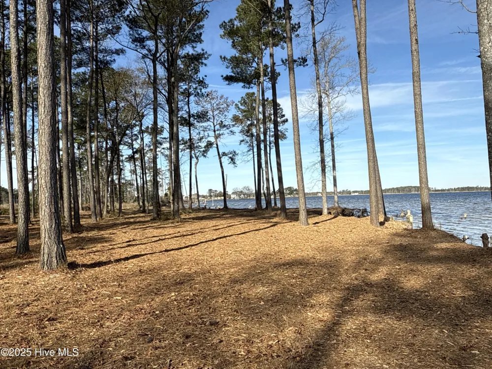 0 Norfleet Shores Road Belhaven, NC 27810