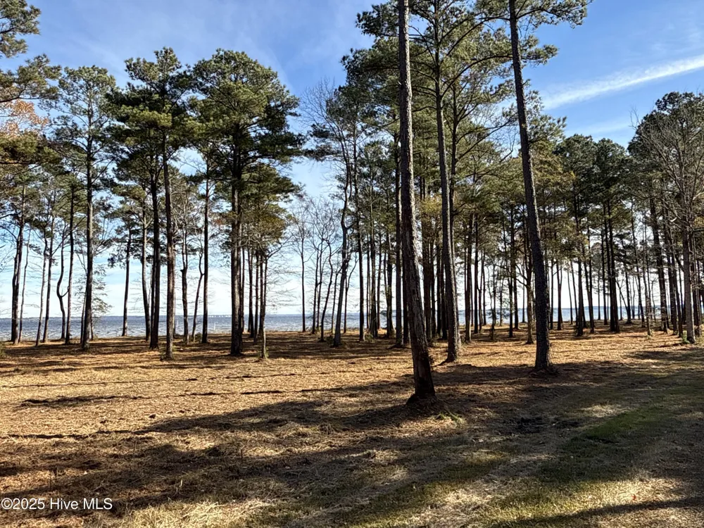 0 Norfleet Shores Road Belhaven, NC 27810