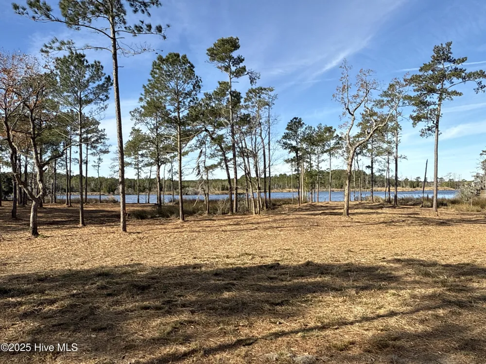 0 Norfleet Shores Road Belhaven, NC 27810