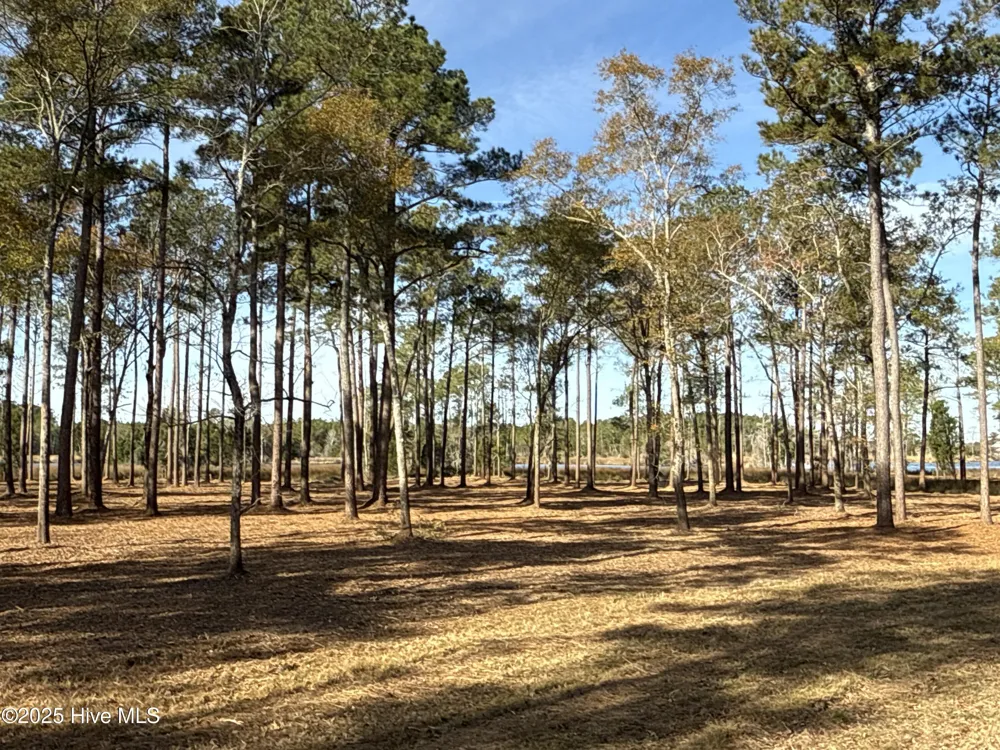 0 Norfleet Shores Road Belhaven, NC 27810