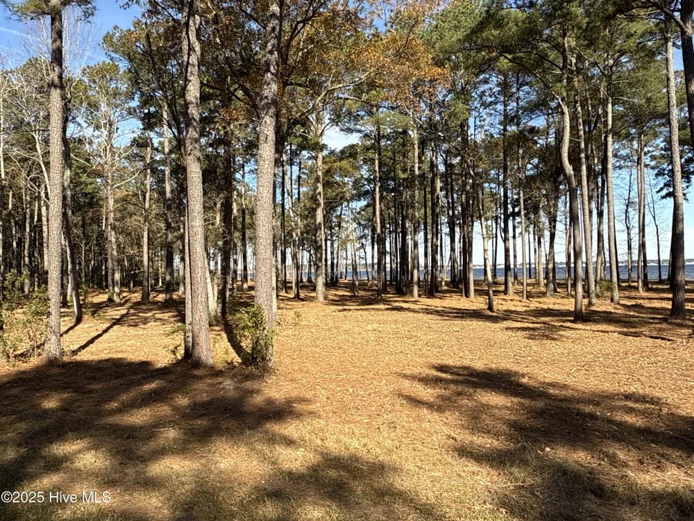 0 Norfleet Shores Road Belhaven, NC 27810