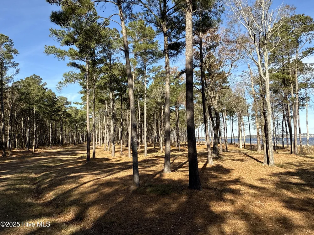 0 Norfleet Shores Road Belhaven, NC 27810