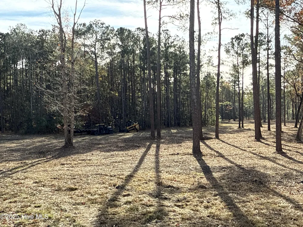 0 Norfleet Shores Road Belhaven, NC 27810