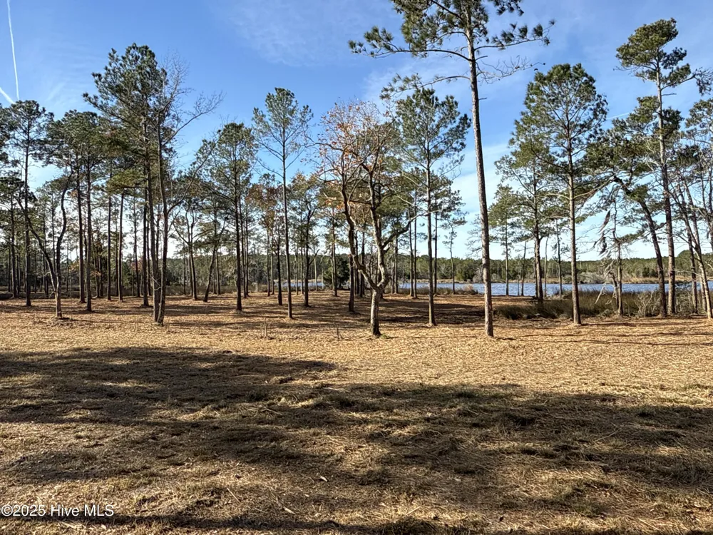 0 Norfleet Shores Road Belhaven, NC 27810