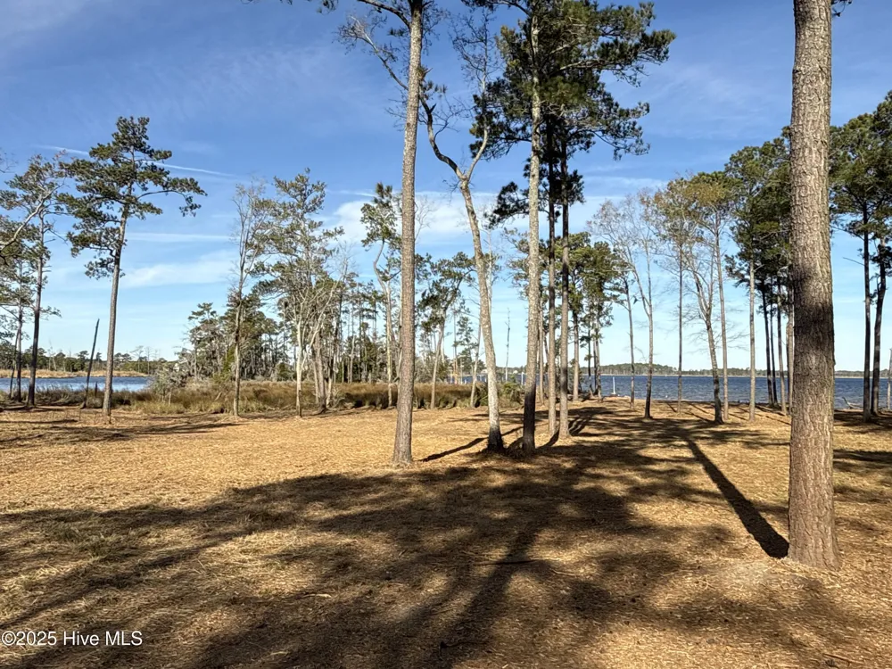 0 Norfleet Shores Road Belhaven, NC 27810