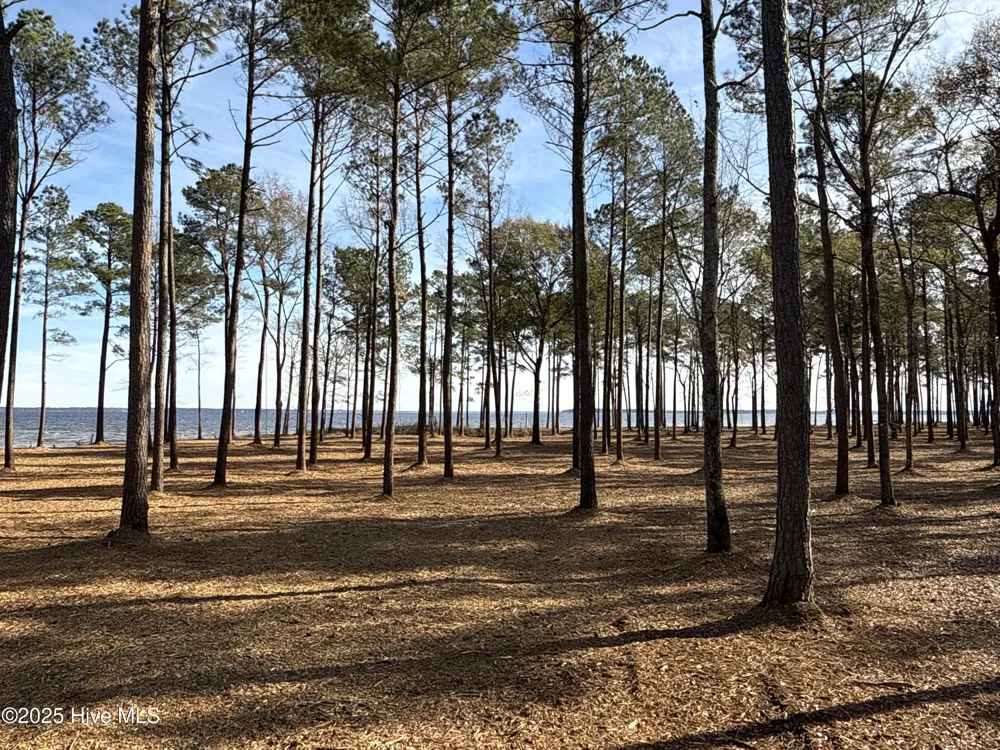 0 Norfleet Shores Road Belhaven, NC 27810