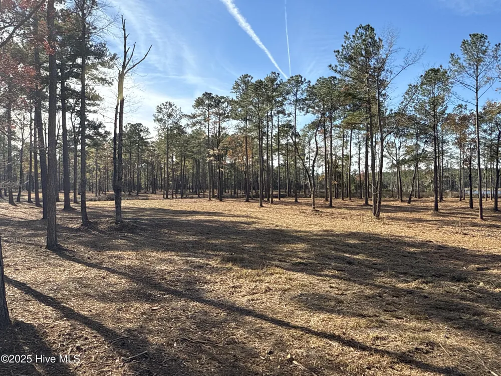 0 Norfleet Shores Road Belhaven, NC 27810