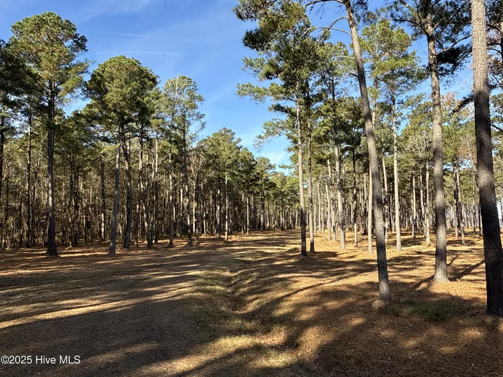 0 Norfleet Shores Road Belhaven, NC 27810