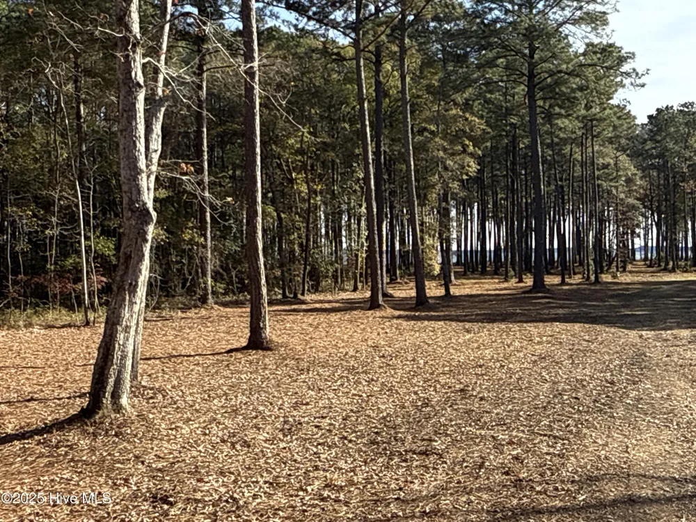 0 Norfleet Shores Road Belhaven, NC 27810