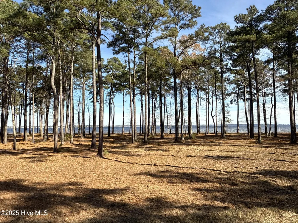 0 Norfleet Shores Road Belhaven, NC 27810