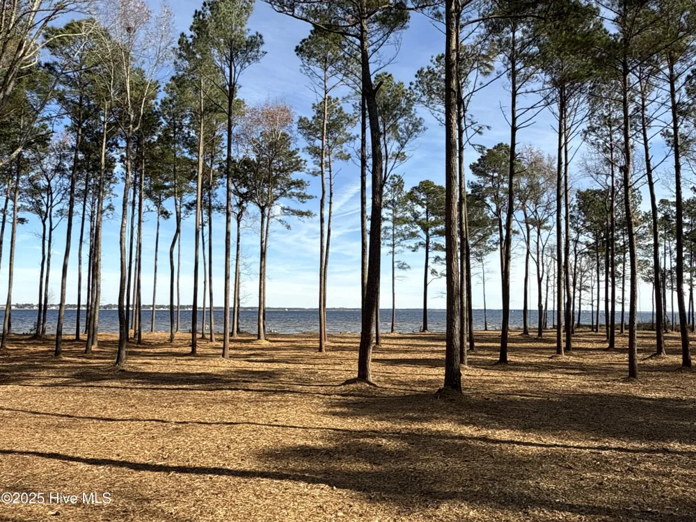 0 Norfleet Shores Road Belhaven, NC 27810