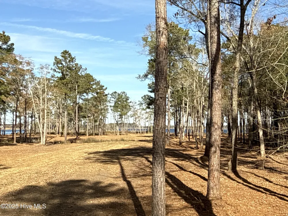 0 Norfleet Shores Road Belhaven, NC 27810