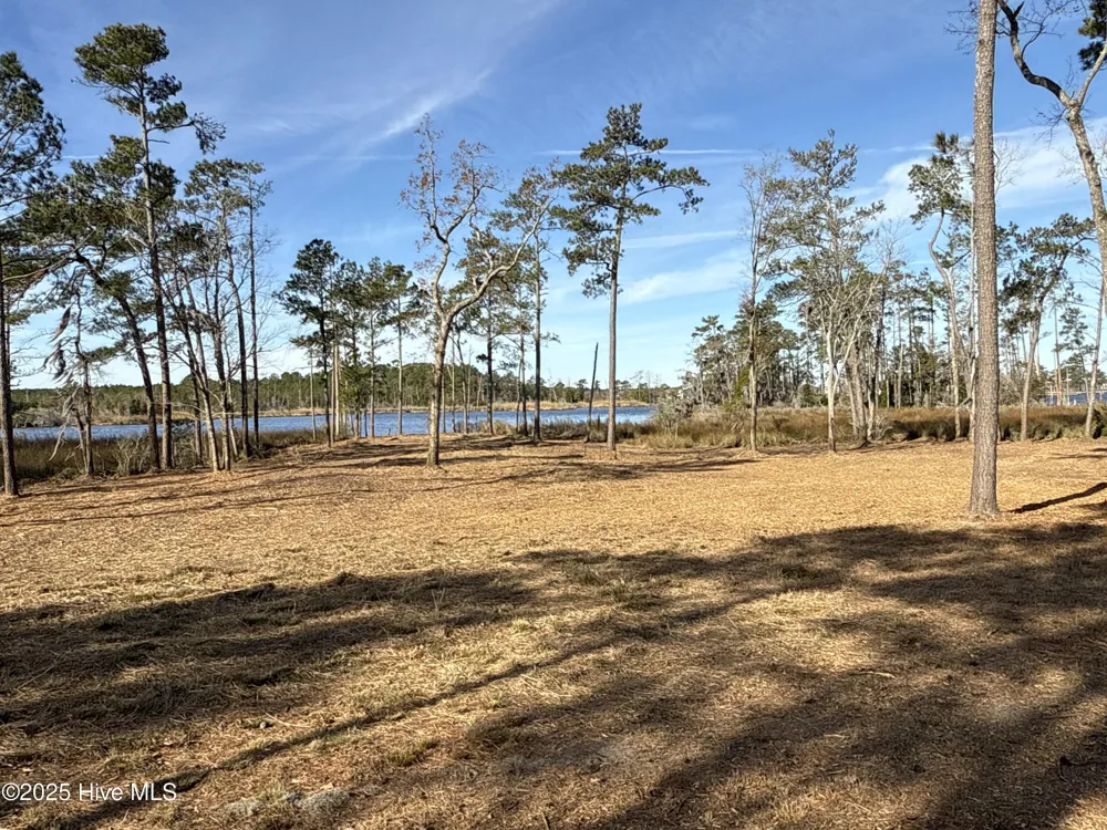 0 Norfleet Shores Road Belhaven, NC 27810