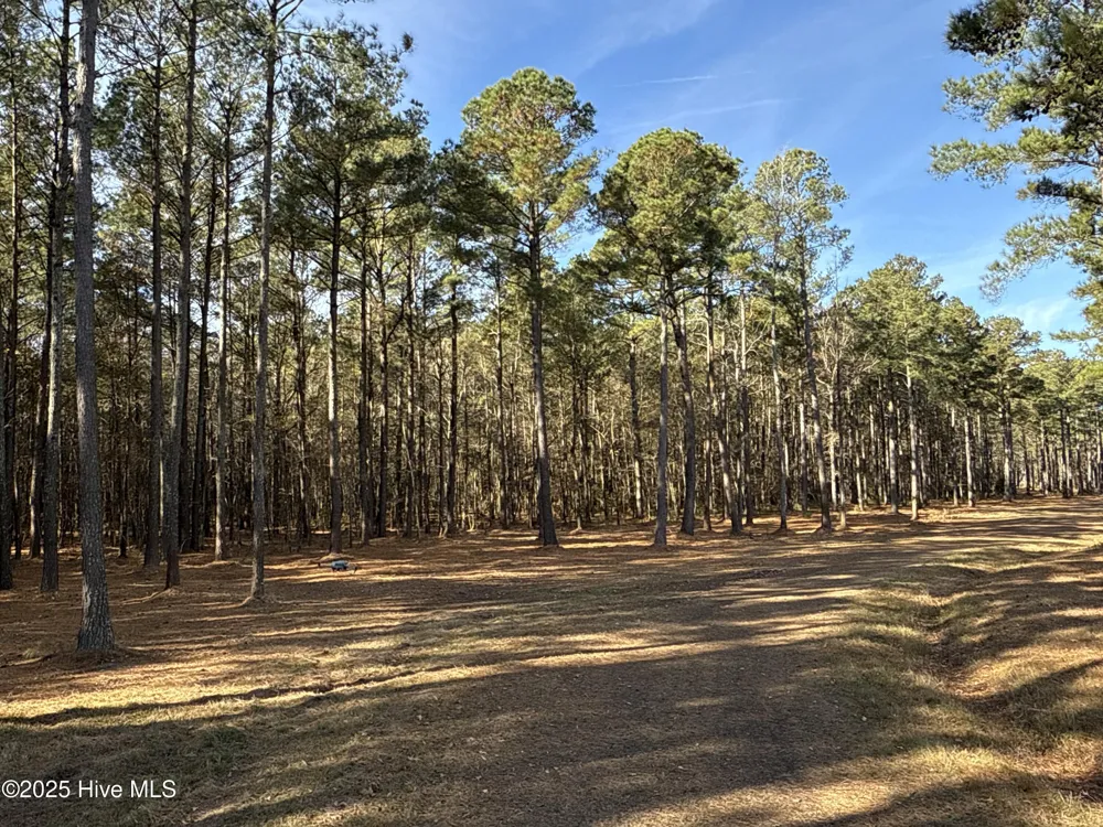 0 Norfleet Shores Road Belhaven, NC 27810