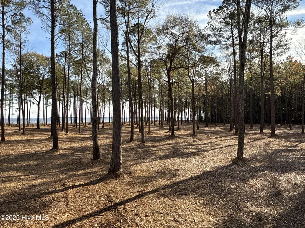 0 Norfleet Shores Road Belhaven, NC 27810