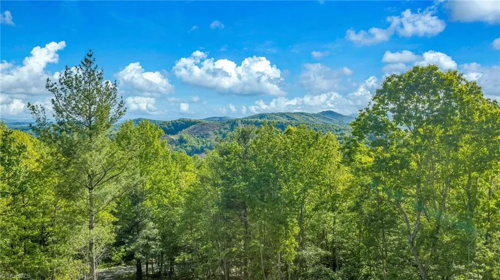 925 Red Sleigh Way Fleetwood, NC 28626