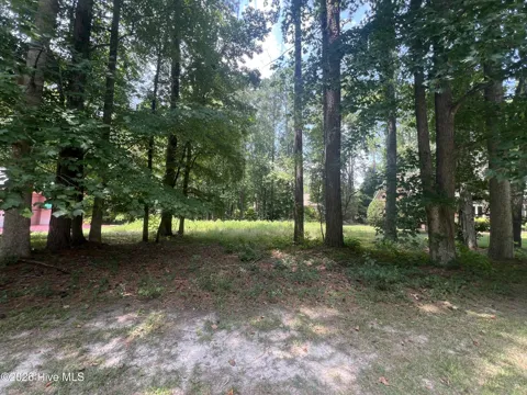 309 Potomac Drive