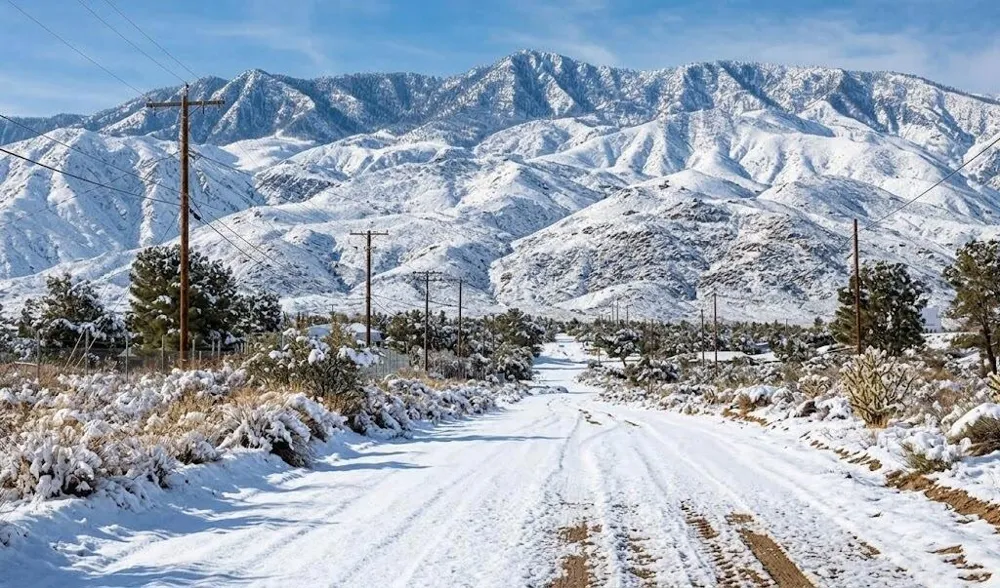 63330 Jeraboa Road Mountain Center, CA 92561