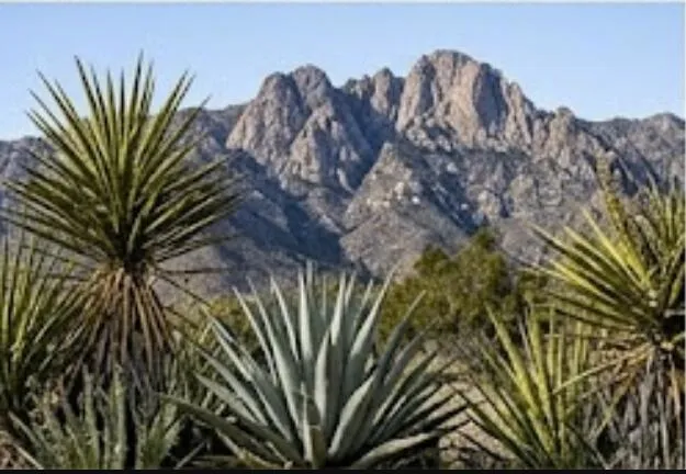 63330 Jeraboa Road Mountain Center, CA 92561