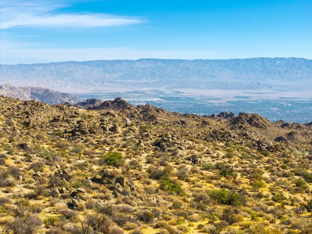 Big Horn Drive Mountain Center, CA 92561
