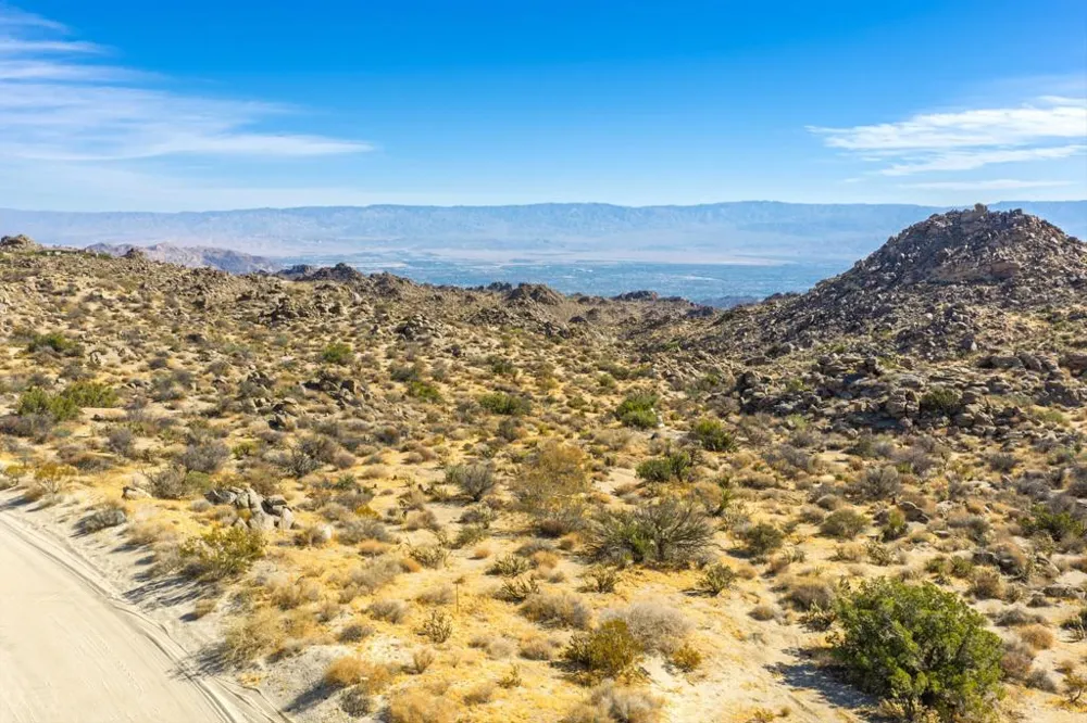 Big Horn Drive Mountain Center, CA 92561