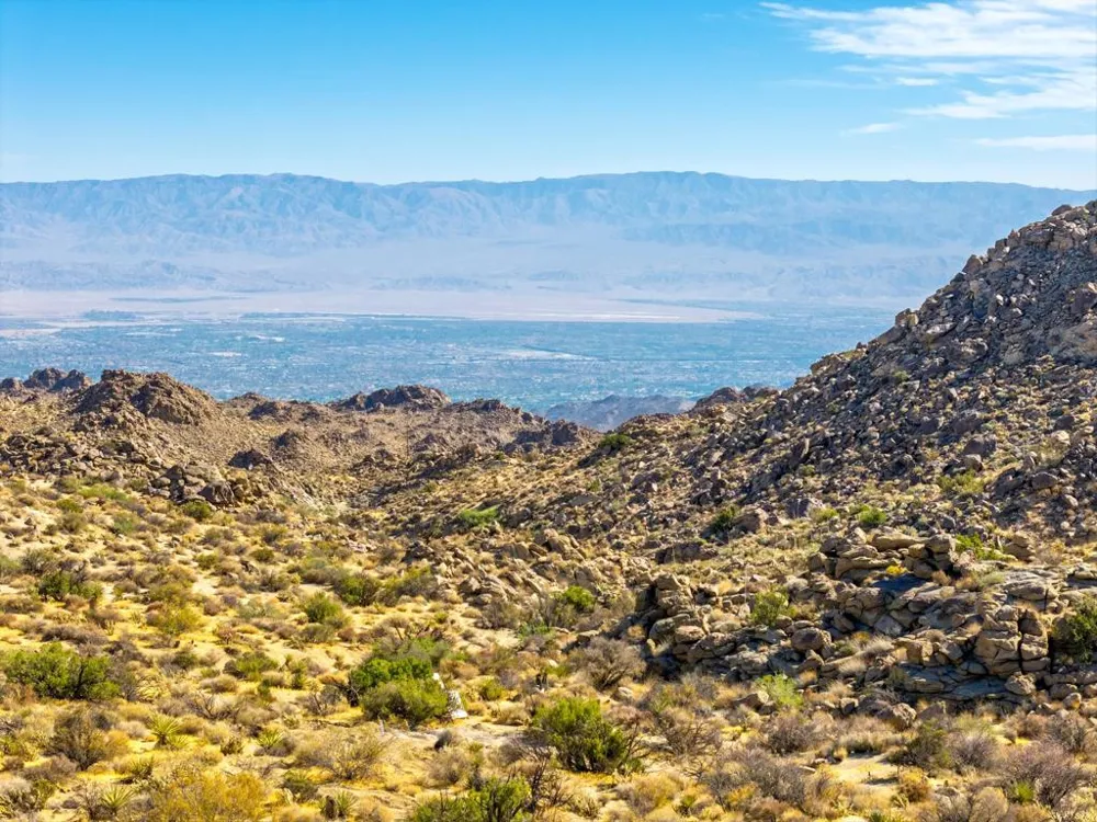 Big Horn Drive Mountain Center, CA 92561