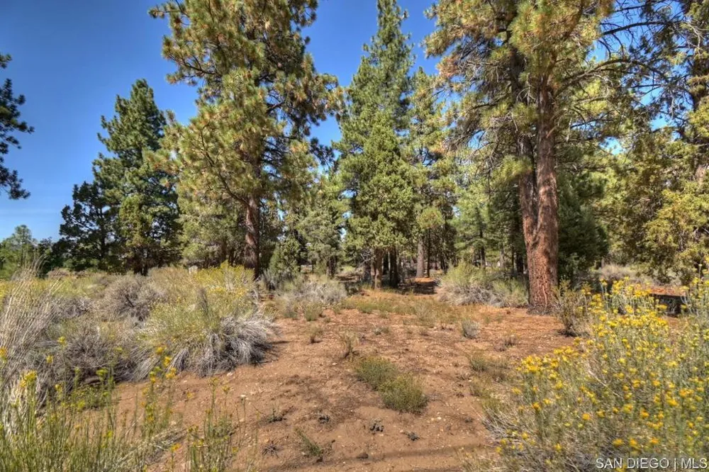 2161 Glencove LN Big Bear, CA 92314