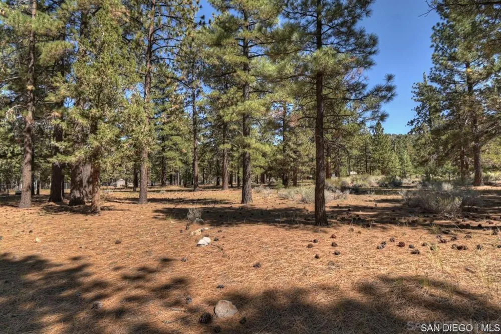 2161 Glencove LN Big Bear, CA 92314