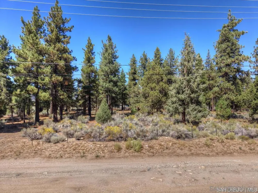 2161 Glencove LN Big Bear, CA 92314