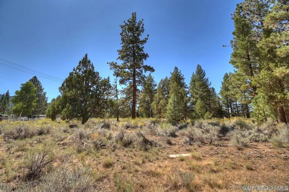 2161 Glencove LN Big Bear, CA 92314