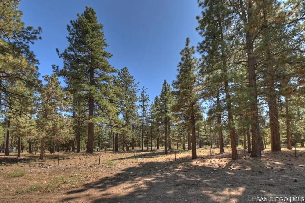 2161 Glencove LN Big Bear, CA 92314